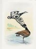Brant's Goose